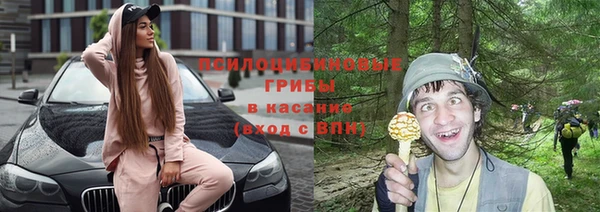 ГАЛЛЮЦИНОГЕННЫЕ ГРИБЫ Балабаново
