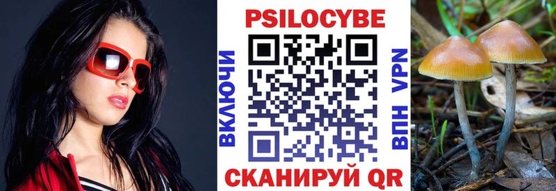 Купить  Дубна  Галлюциногенные грибы Cubensis 